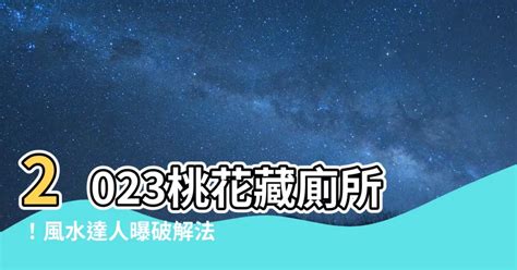 2023桃花位在洗手間|【2023桃花位在洗手間】桃花位是廁所洗手間的風水破解方法 